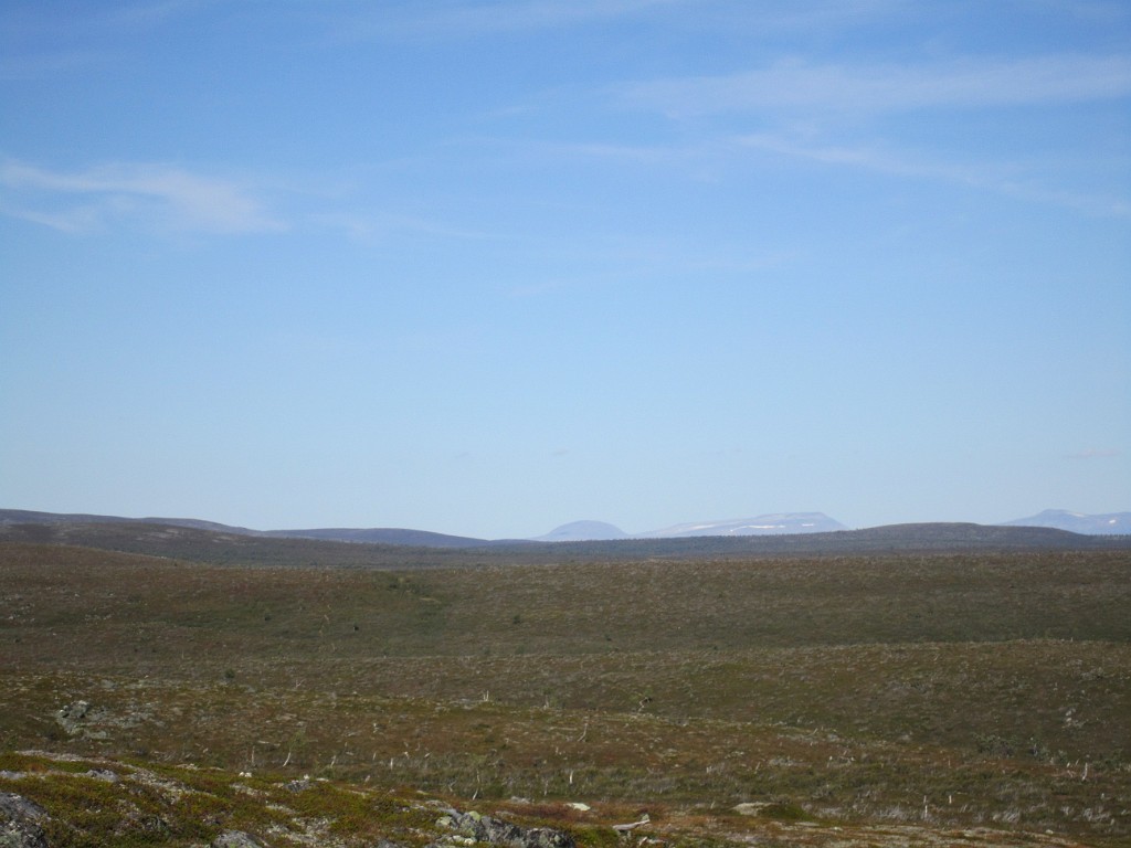 kesä 2011 351.jpg